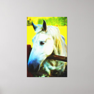 *~* White Horse over Fence AR22 Equine Canvas Print