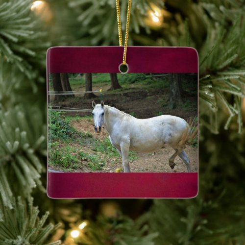 White Horse Photo Ceramic Ornament