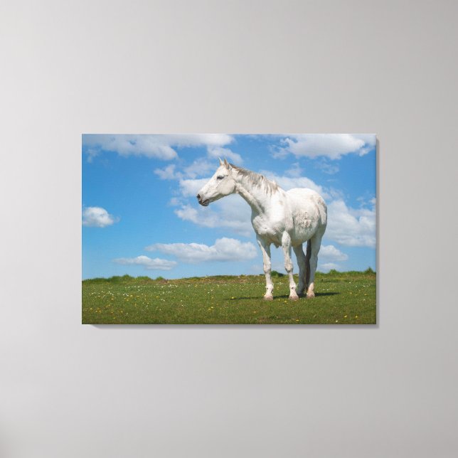 White Horse Photography Canvas (Front)