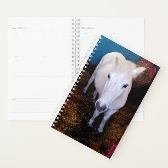 White horse planner (Display)