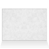 White Horse Portrait (Inside Horizontal (Top))