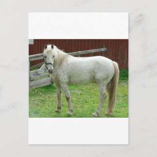 White Horse Postcard