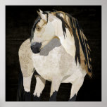White Horse Poster at Zazzle