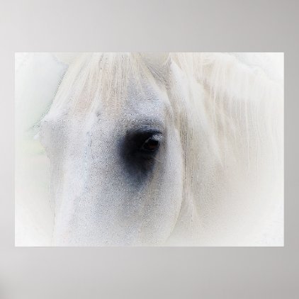 White horse poster