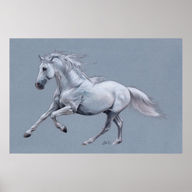 White Horse Poster (Front)