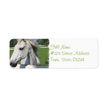 White Horse Return Address Label by HorseStall at Zazzle