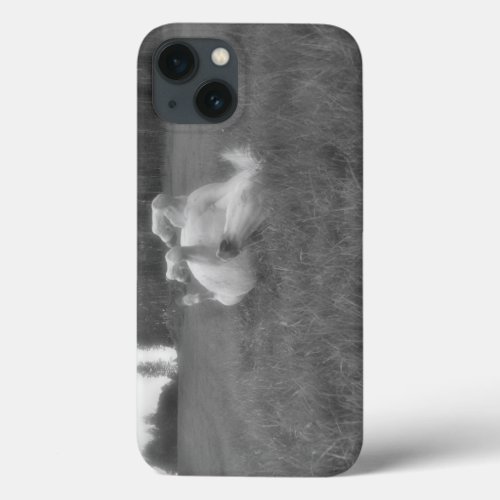 White Horse Rolling in Grass BW Photo at BC Ranch iPhone 13 Case