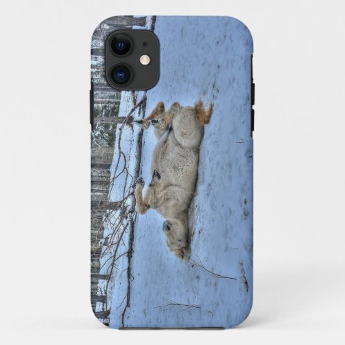 White Horse Rolling in Winter Snow iPhone 11 Case