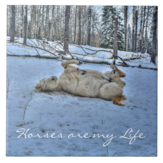 White Horse Rolling in Winter Snow Tile