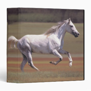 White horse running in field 3 ring binder
