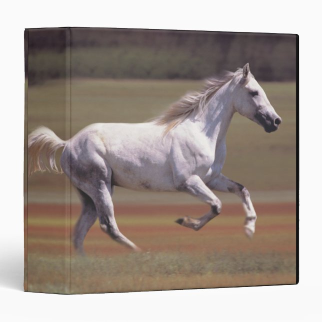 White horse running in field 3 ring binder (Front/Spine)