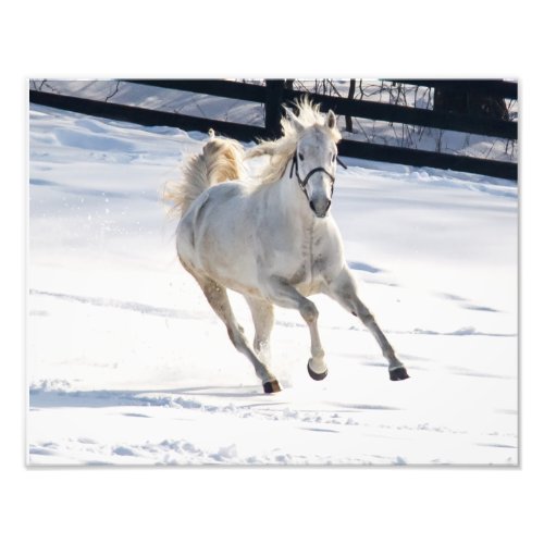 White Horse Running In Snow Photo Print