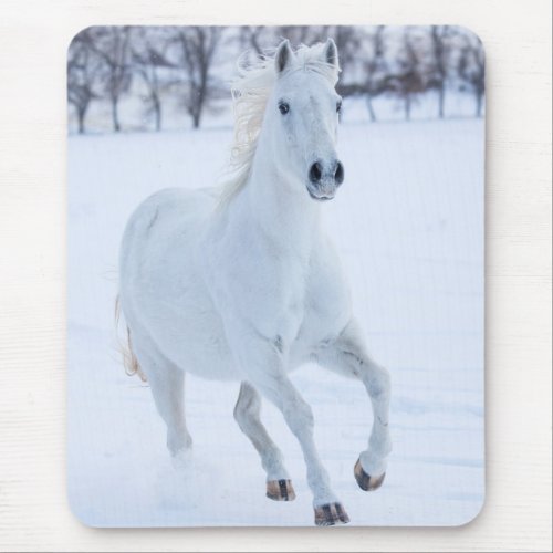 White Horse Running in the Snow Mouse Pad