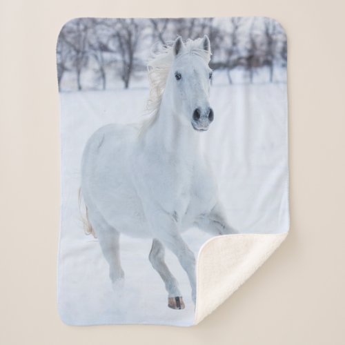 White Horse Running in the Snow Sherpa Blanket