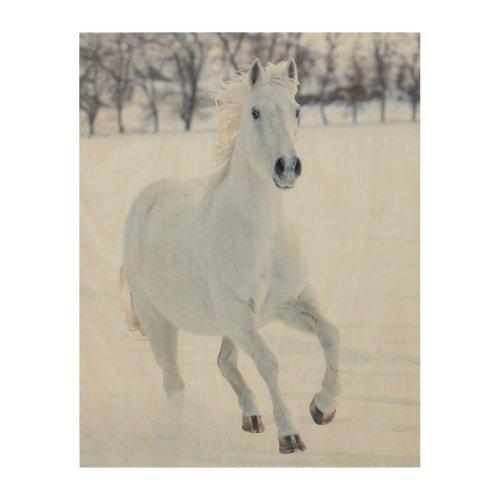 White Horse Running in the Snow Wood Wall Art