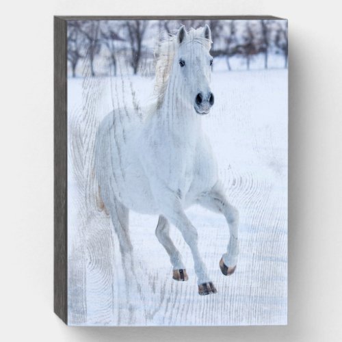 White Horse Running in the Snow Wooden Box Sign