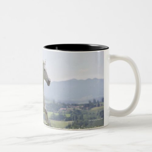 white horse running on meadow Two_Tone coffee mug