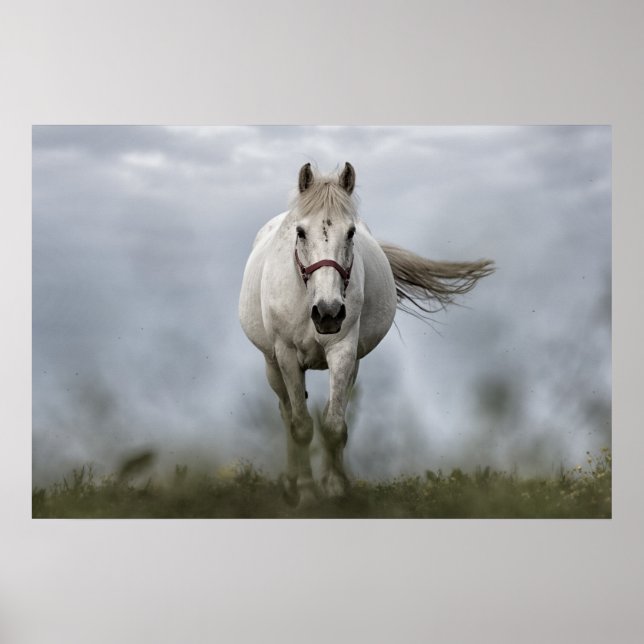 White Horse Running Poster (Front)