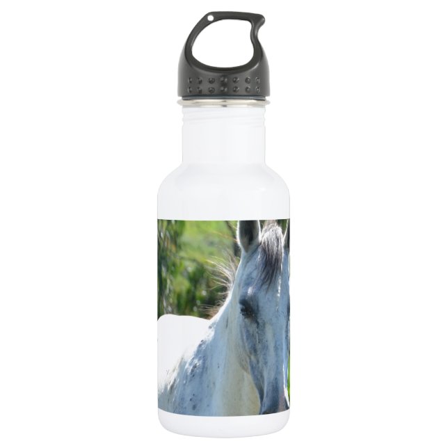White horse. stainless steel water bottle (Front)