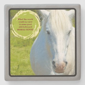 White Horse Staring Into Camera/Horse Sense Stone Coaster