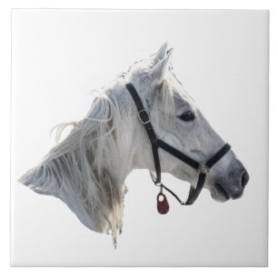 White Horse Tile
