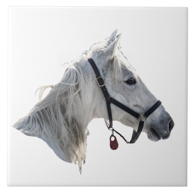 White Horse Tile (Front)