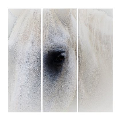 White horse triptych