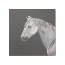 White Horse Wall Art