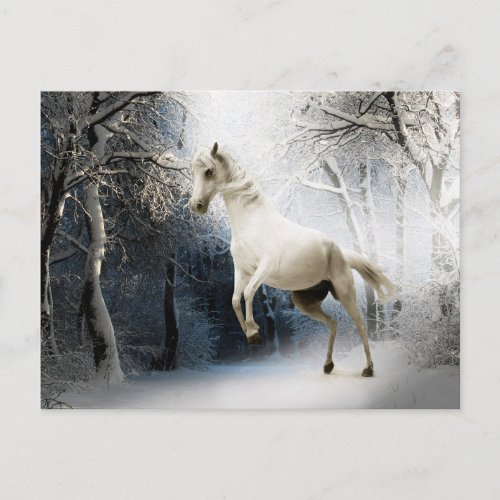 White Horse Winter Forest Postcrossing Postcard