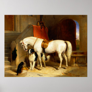 WHITE HORSE WITH DOGS AND FALCONS IN STABLE POSTER