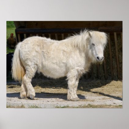 White horse with long hair poster