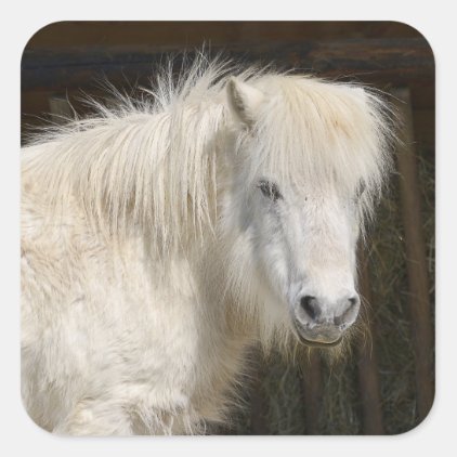 White horse with long hair square sticker