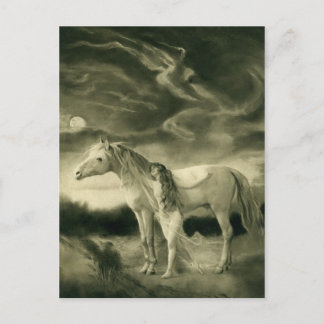 white horse woman postcard