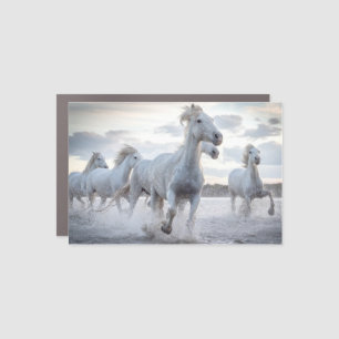 White Horses Car Magnet