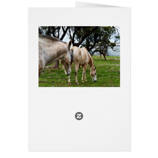 White Horses Grazing,_ (Back)