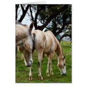 White Horses Grazing,_ (Front)