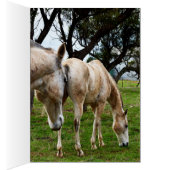 White Horses Grazing,_ (Inside (Right))