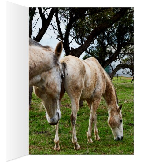 White Horses Grazing,_ (Inside (Right))