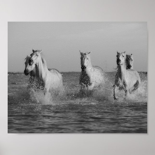 White horses, ocean,  black and white photography poster (Front)