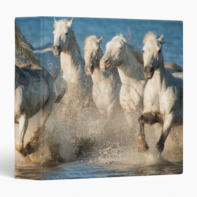 White horses of Camargue, France 3 Ring Binder (Front/Spine)