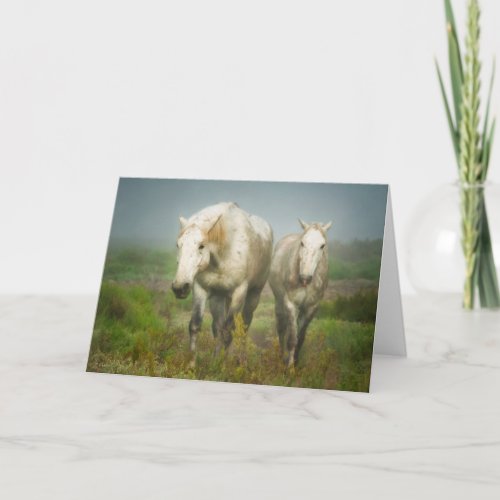 White Horses of Camargue in Field Card