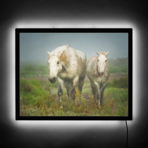 White Horses of Camargue in Field LED Sign