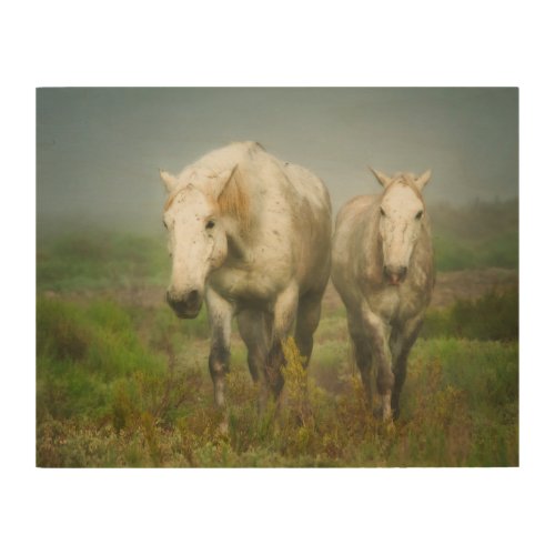 White Horses of Camargue in Field Wood Wall Art