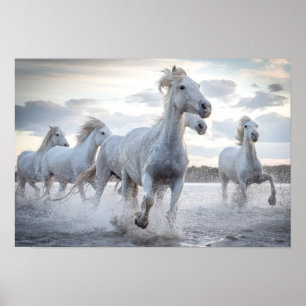 White Horses Poster