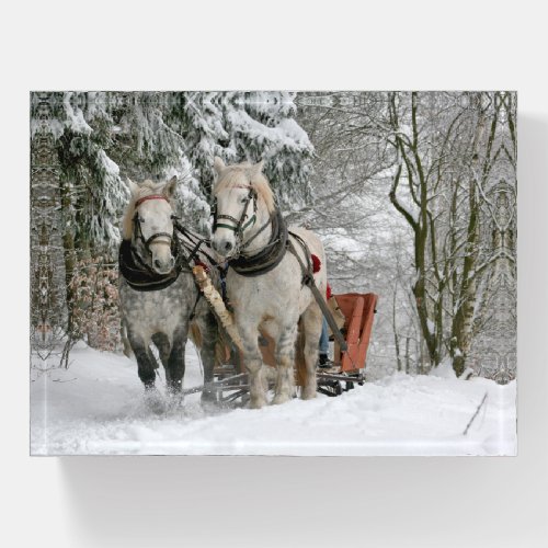 White Horses Pulling a Sleigh Paperweight