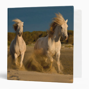 White Horses Running On Beach Camargue, France Binder
