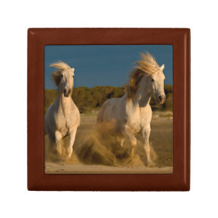 White Horses Running On Beach   Camargue, France Jewelry Box