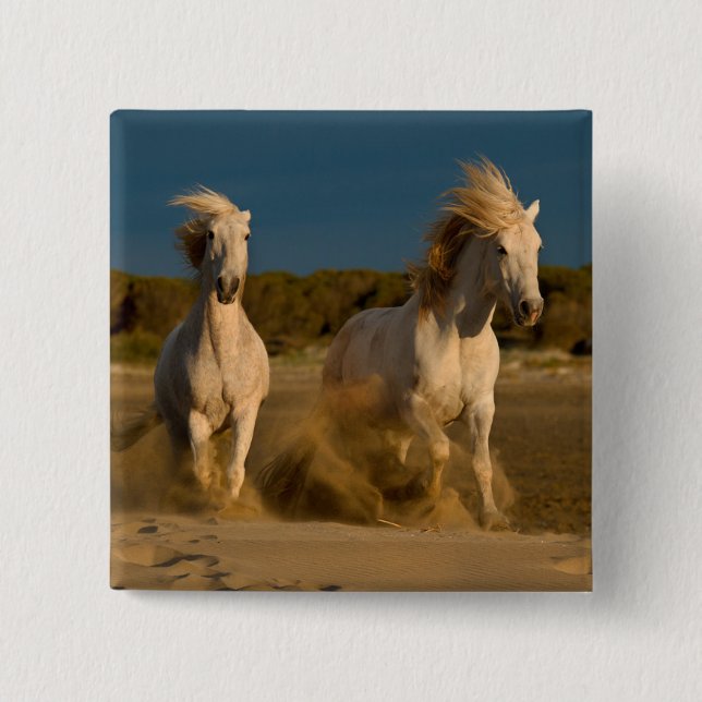 White Horses Running On Beach | Camargue, France Pinback Button (Front)