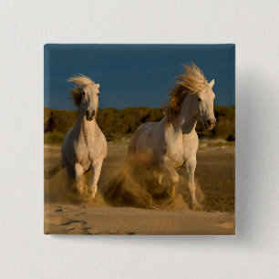 White Horses Running On Beach Camargue, France Pinback Button