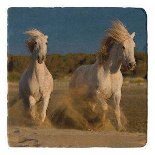 White Horses Running On Beach Camargue, France Trivet